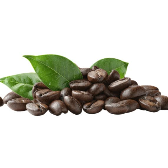 Granos de café gourmet